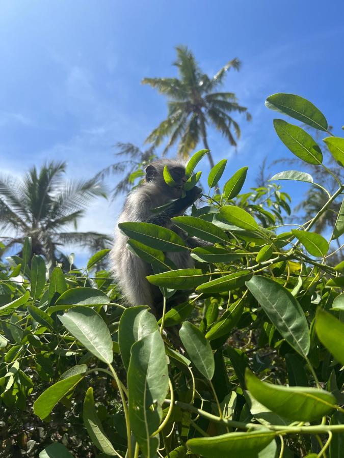 Kivuli Beach Resort Падже Экстерьер фото