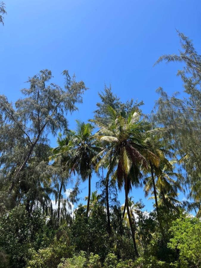 Kivuli Beach Resort Падже Экстерьер фото