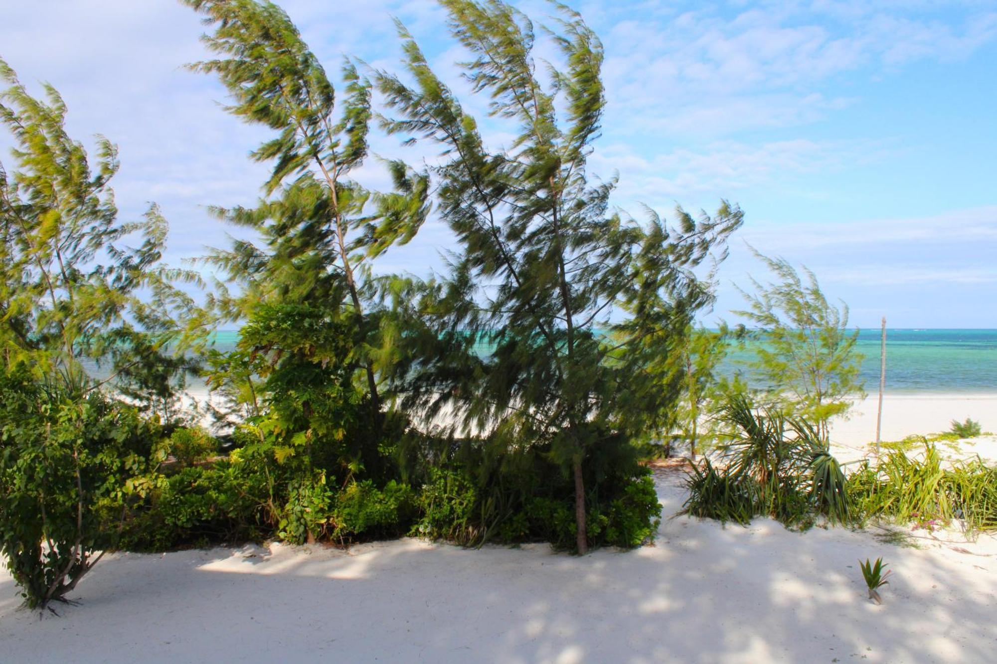 Kivuli Beach Resort Падже Экстерьер фото